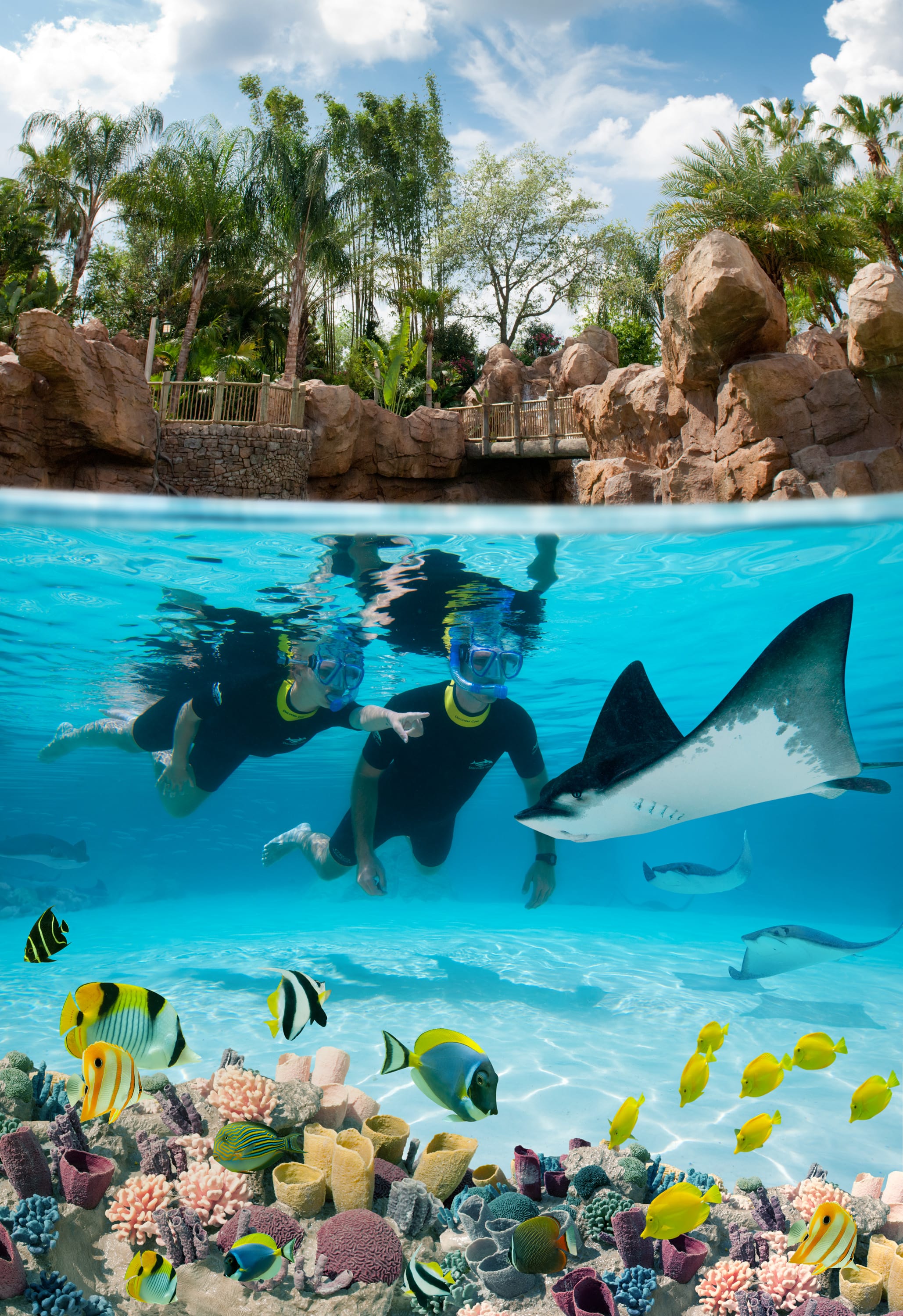 The Grand Reef at Discovery Cove - Grand%20Reef%20Discovery%20Cove Main Min 